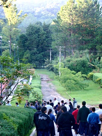 guerreiros na floresta